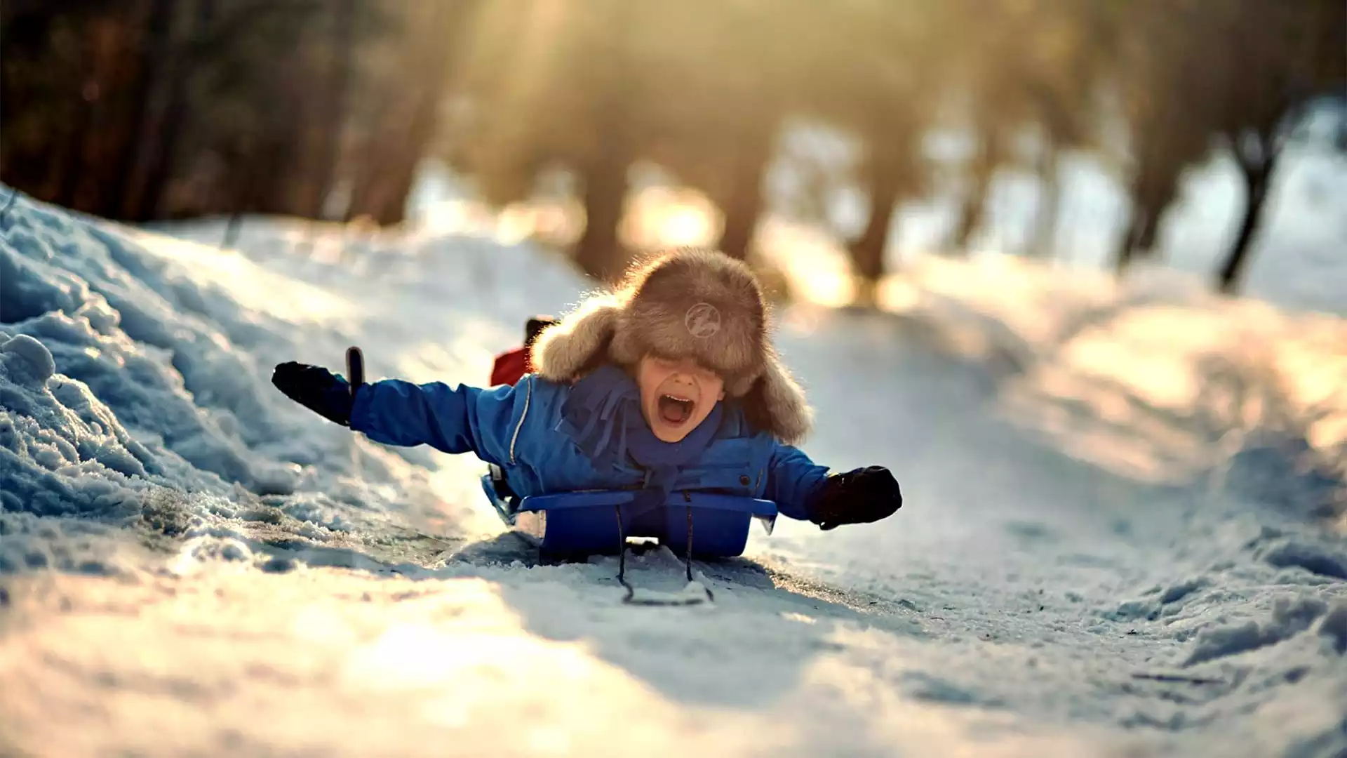 Vallée de Munster Zinglé sports luge et bob